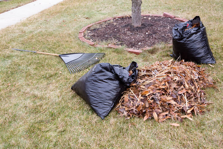 Leaf removal by D&S Landscaping.