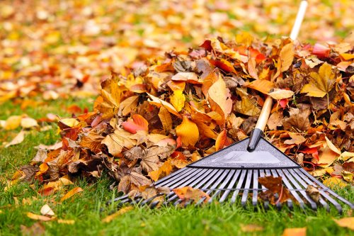 Fall Clean Up Services by D&S Landscaping