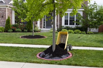 Mulching in Spring City Services
